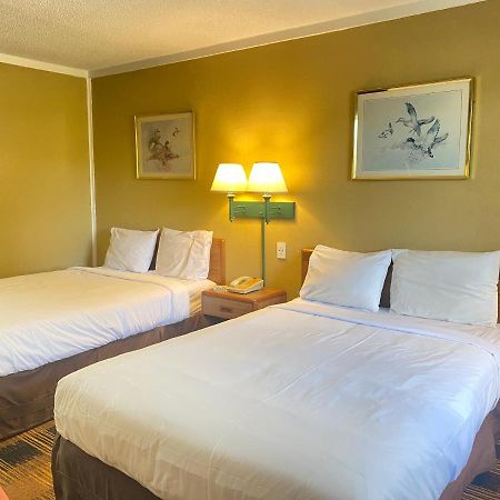 Smokies Inn - New Linens & Ultrafast Wifi - Friendliest Hospitality Guaranteed! Кодак Экстерьер фото